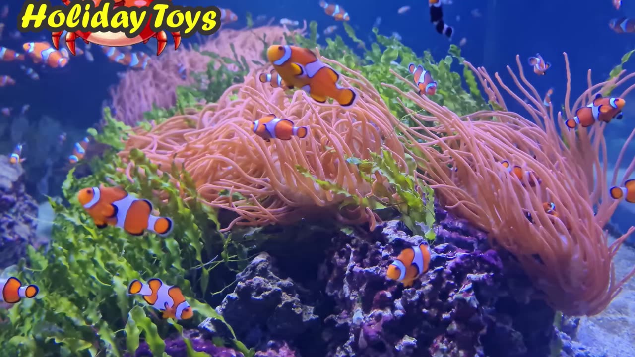 Fishing for Hammerhead Sharks to Make Toys at Home