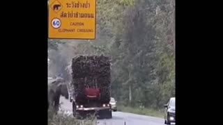 Daddy Goat 24/7 - Out Of Context Memes & Videos