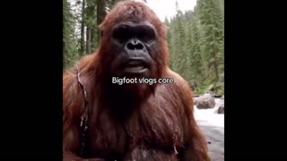 Daddy Goat 24/7 - Out Of Context Memes & Videos