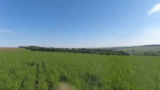 Daddy Goat 24/7 - Out Of Context Memes & Videos