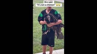 Daddy Goat 24/7 - Out Of Context Memes & Videos