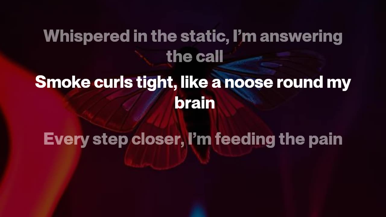 Moth to the Flame