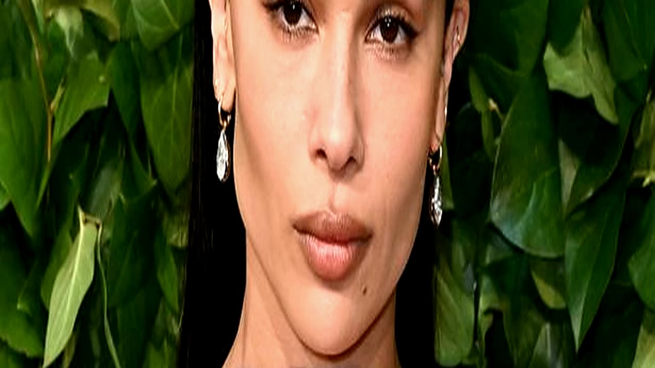 Zoe Kravitz Accused of Defying Taylor Swift and Br