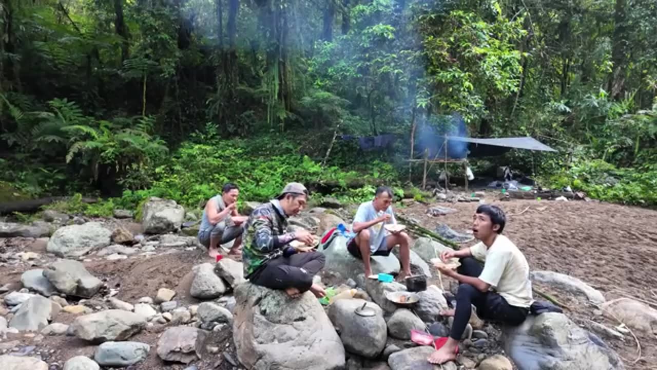 Dapat Rusa Tangkapan Harimau Saat Fishing Camping Ke Hutan Rimba_