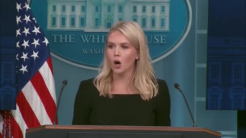Karoline Leavitt Fires Back At Jasmine Crockett Accusing Trump Supporters Of Being Mentally Ill