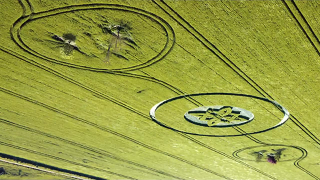 David Wilcock LIVE - War - The Final Phase 6-15-25