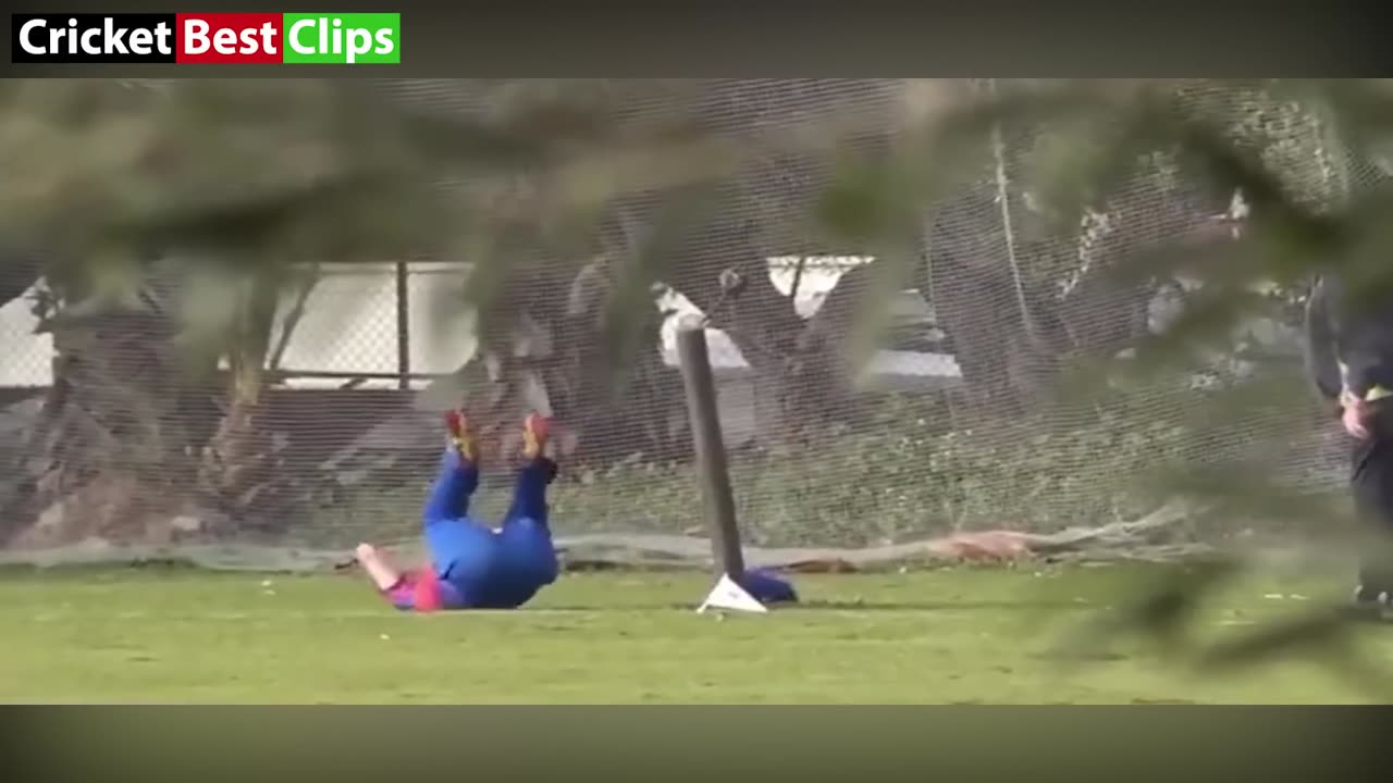Funniest Cricket Moments