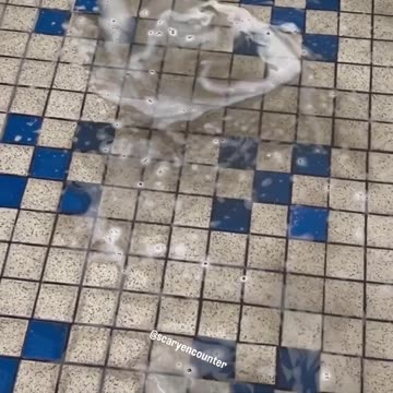 What is that rolling around in the water? 🌊