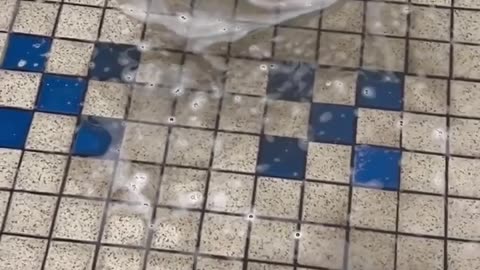 What is that rolling around in the water? 🌊