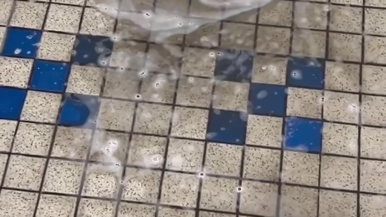 What is that rolling around in the water? 🌊