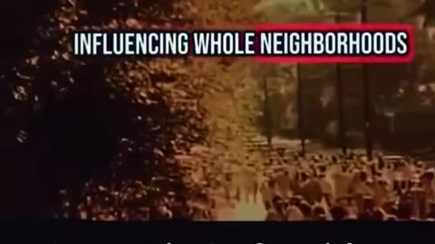 Frequencies control you…