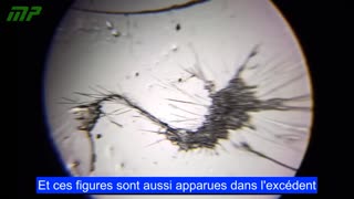 Vaccin contre la rougeole et la rubéole de la marque FioCruz