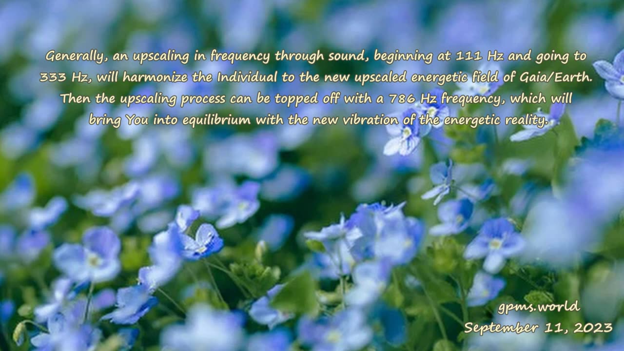 The Earth frequency affects the Individual