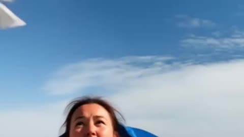 A girl saves animals from big birds