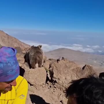 Sharing food with the locals