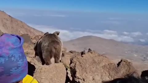 Sharing food with the locals