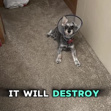 Leave your past in the past