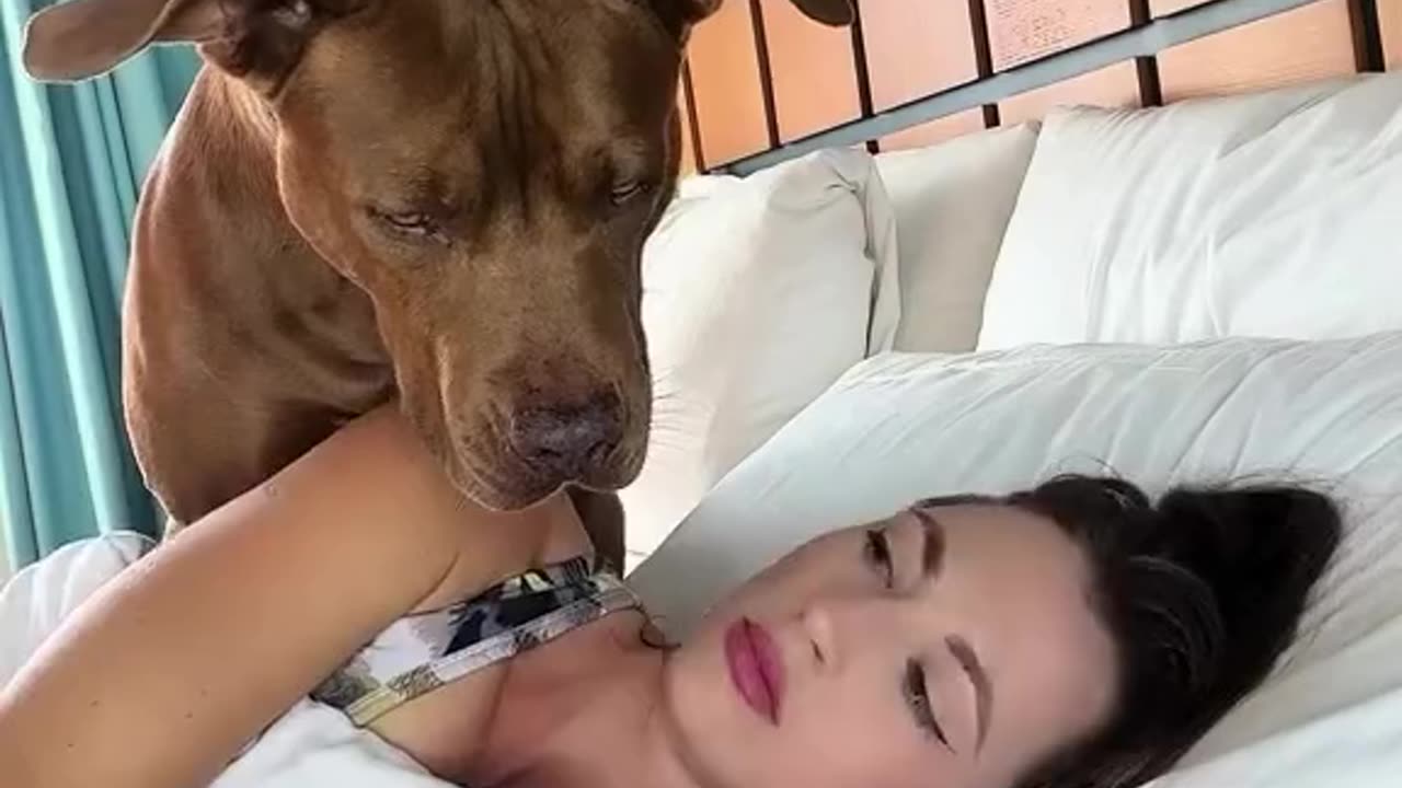 Sleeping with a dog
