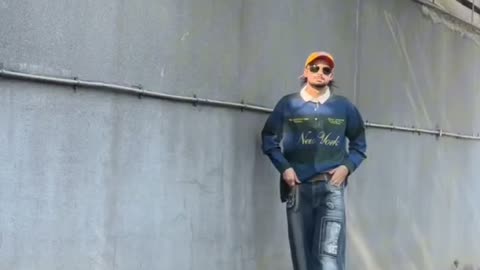 funnyvideosdaily