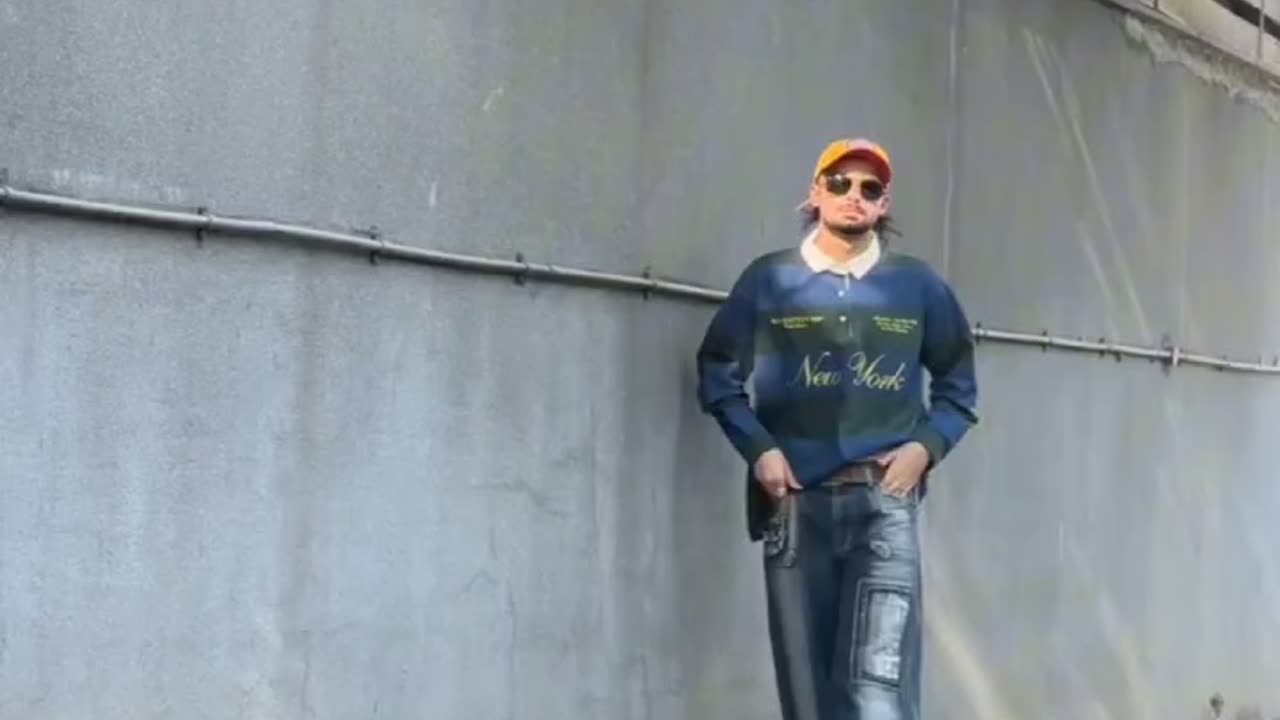 funnyvideosdaily