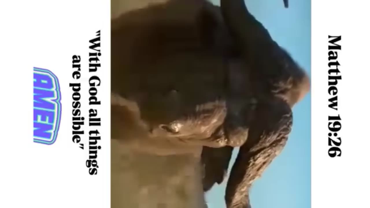 Boo save human
