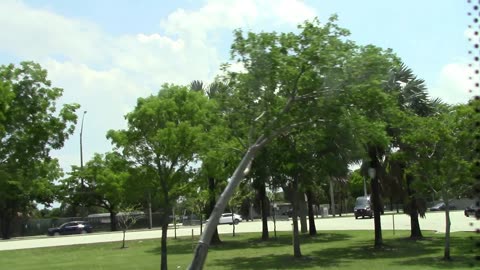 Driving Around Fort Lauderdale Creative Commons Stock Video