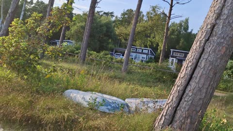 Hagestad vid havet 27 Juli 2025
