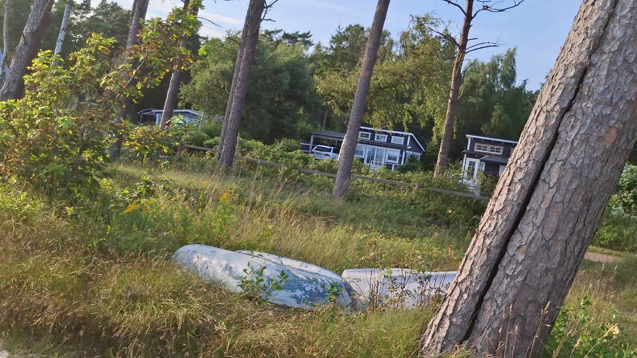 Hagestad vid havet 27 Juli 2025
