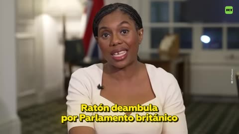Ratón irrumpe durante entrevista con la líder conservadora británica
