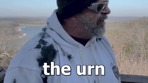 81