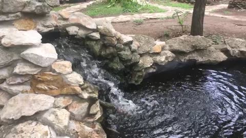 Lotus Fountain