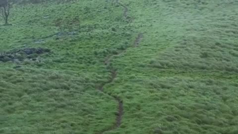 Sri lanka mountains travel