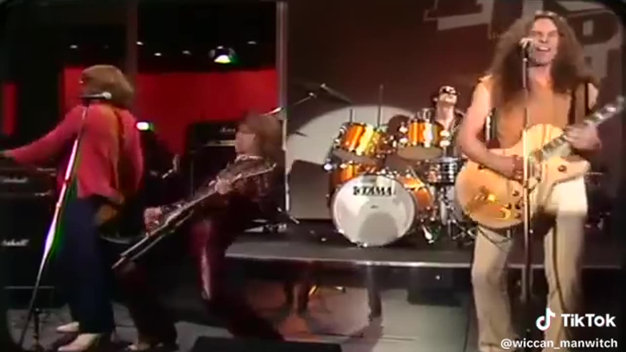 Cat Scratch Fever ~ Ted Nugent ( Live )