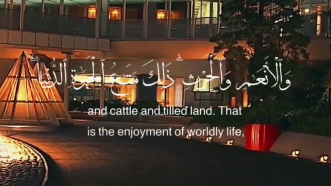 Beautiful video