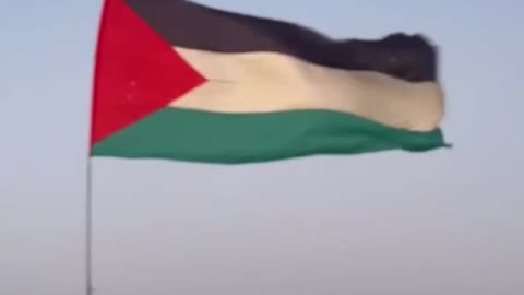 “ Massive protests and demonstrations continue in Morocco against the ongoing genocide in Gaza ”