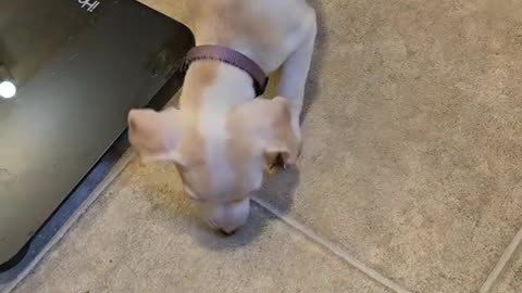 Being mouthy before she could talk