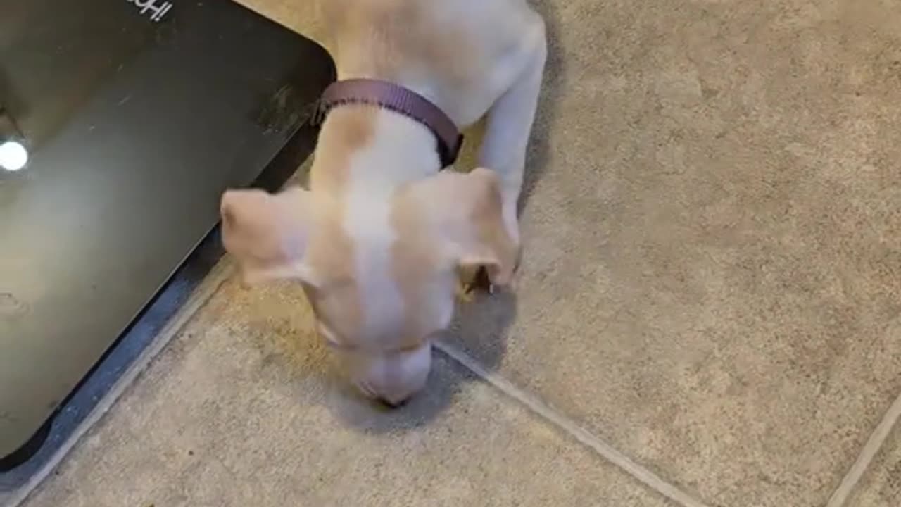 Being mouthy before she could talk