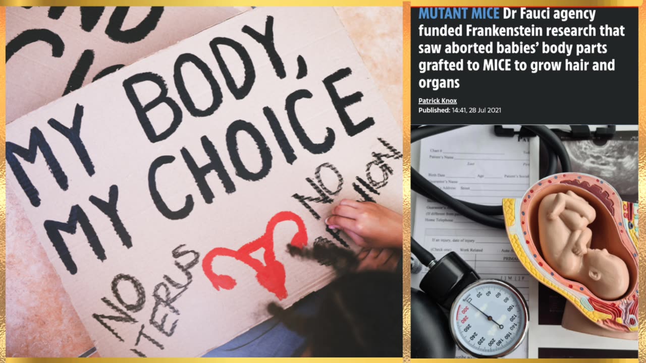 ABORTED CHILDREN USED IN FRANKENSTEIN EXPERIMENTS WIT MICE