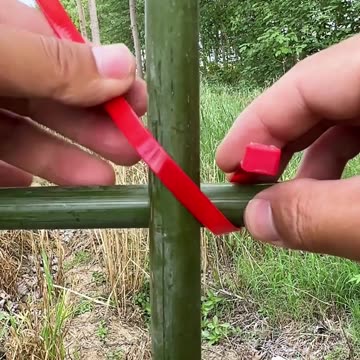 पैसा नहीं तो रिश्ता नहीं