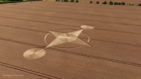 Crop Circle de Preston Grange | Visite ensoleillée | 08/07/23