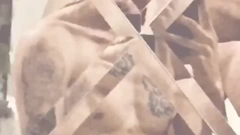 clip