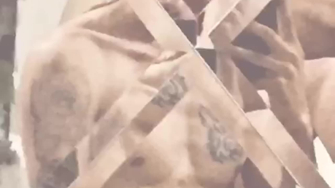 clip