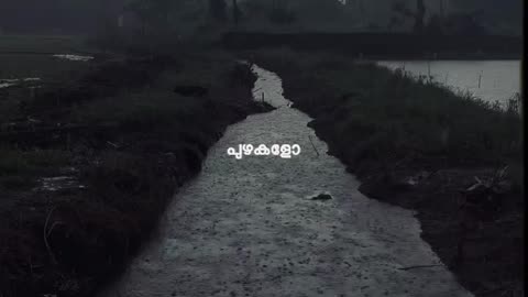 Rain makes life simple