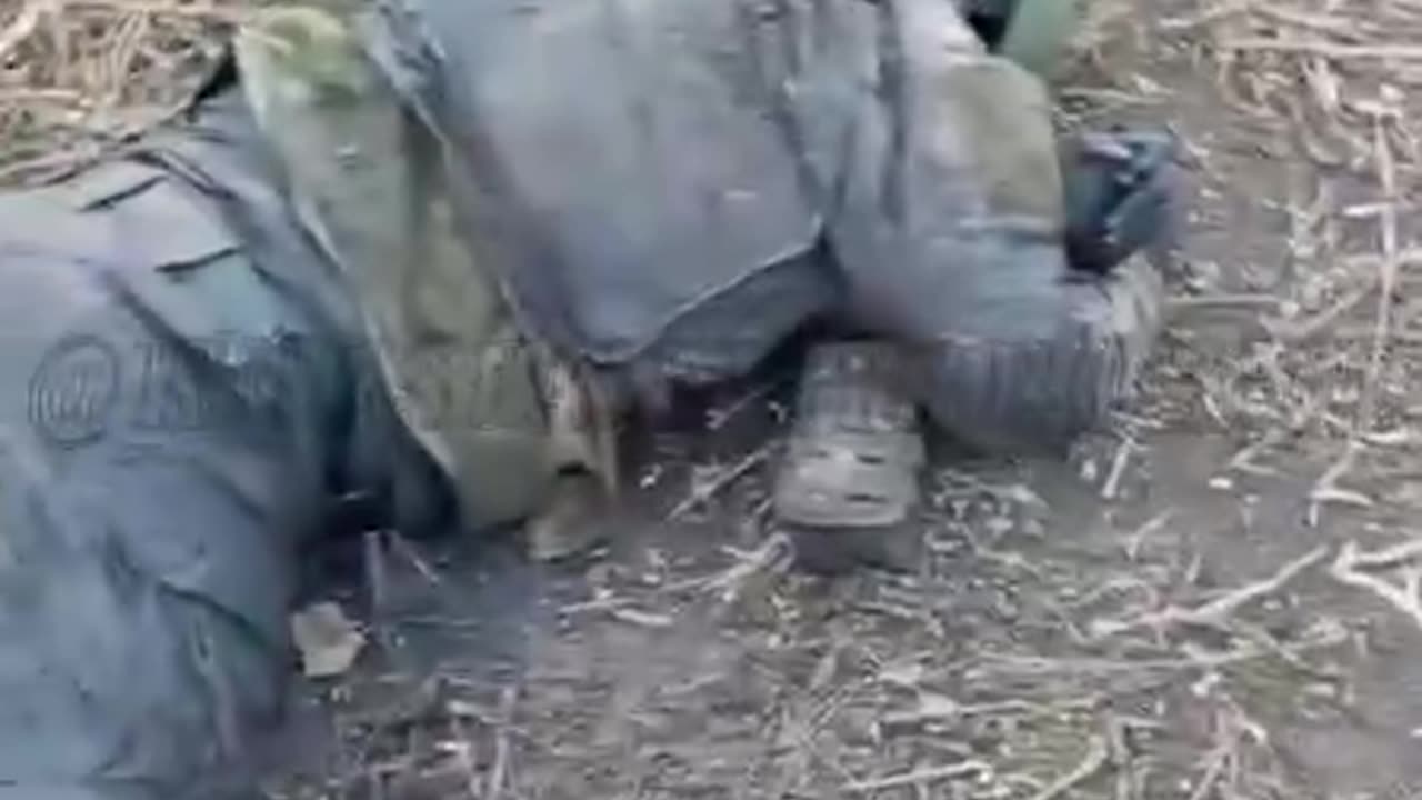 Ukrainian soldiers