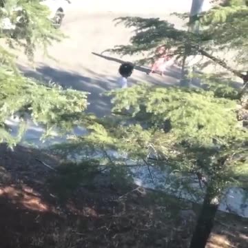 The usual suspects beating up the usual victims