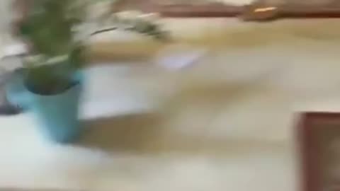 The church in El Pozuelo, Spain, was destroyed and then burned by a North African Muslim for fun.