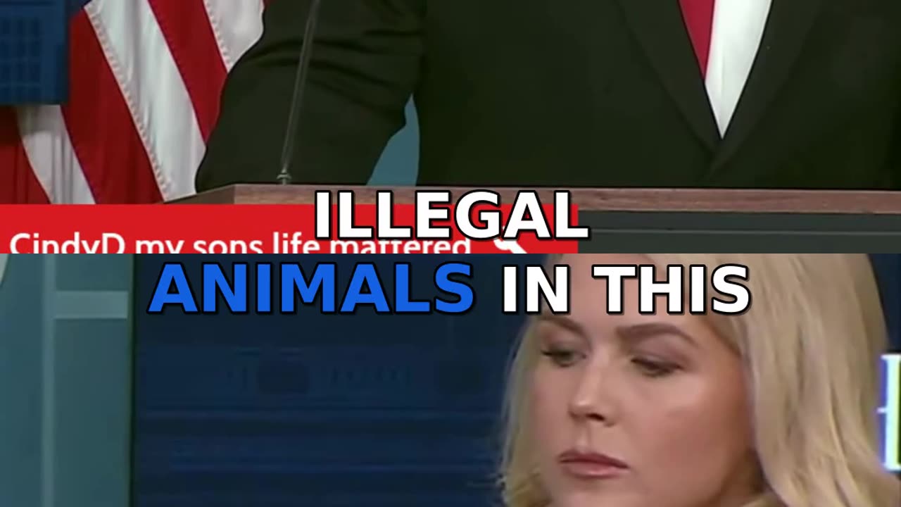 The Shocking Truth About Child Assaults by Illegal Immigrants