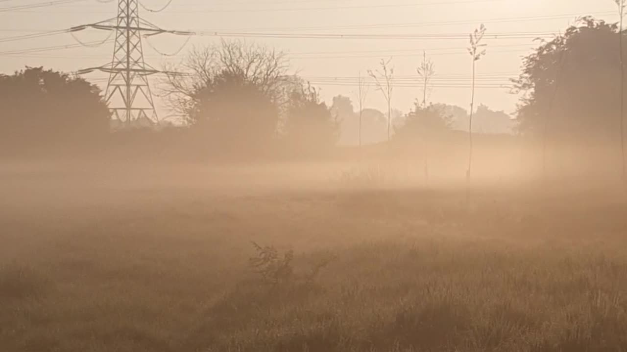 Christ Consciousness Frequency Grid