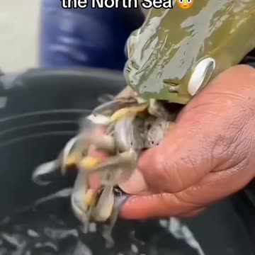 Wait for the end 😱 follow for more interesting videos 😊