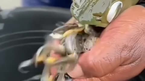 Wait for the end 😱 follow for more interesting videos 😊